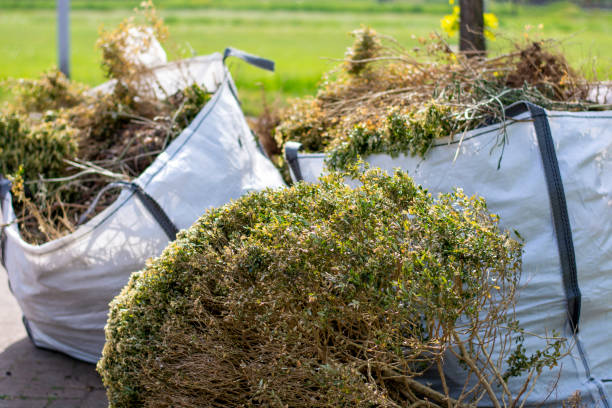 Best Dumpster Rental Services  in Langley, WA